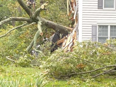 Large fallen tree crashed through the side of a grey house with dark grey shutters