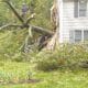 Large fallen tree crashed through the side of a grey house with dark grey shutters