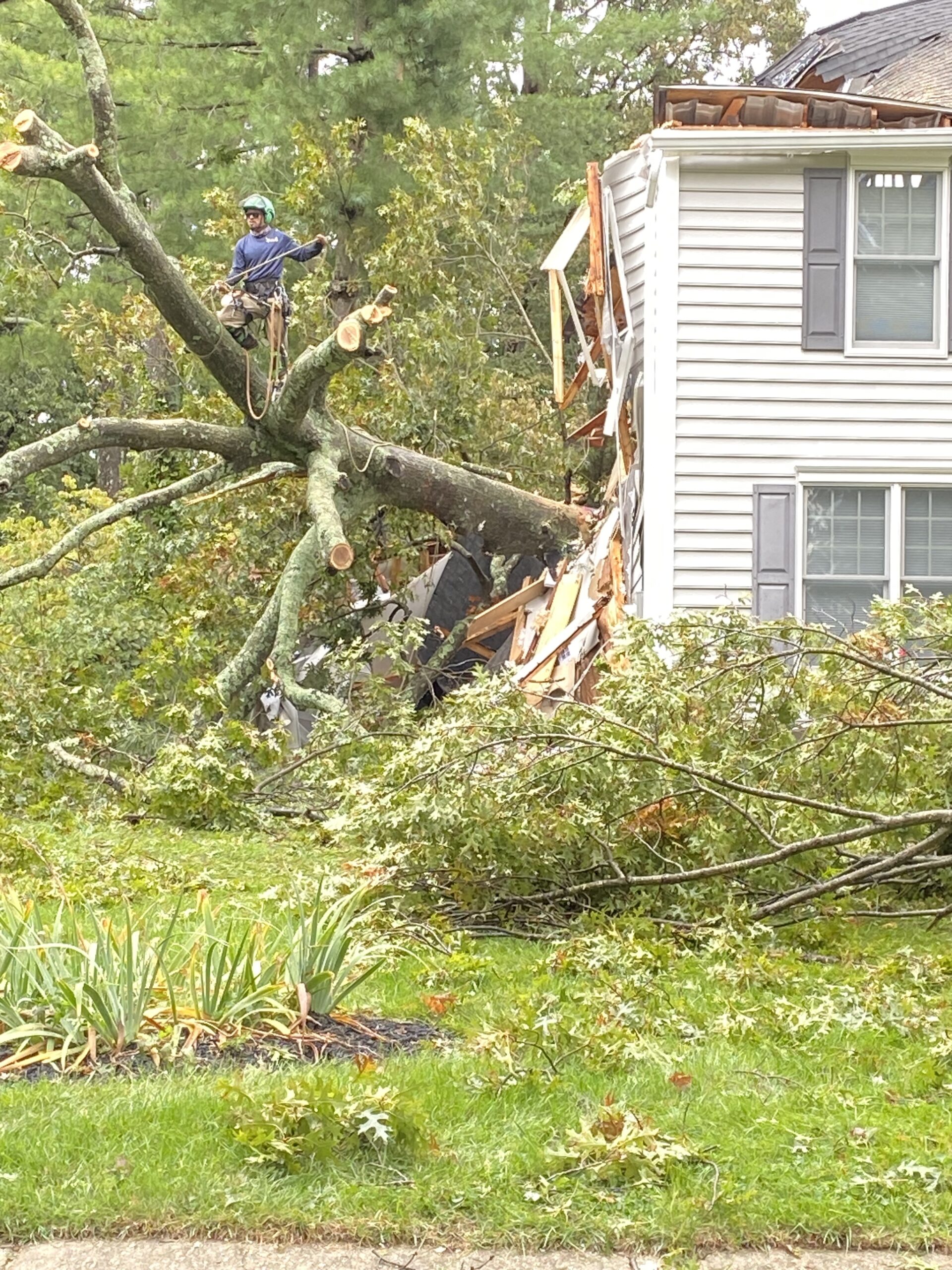 Large fallen tree crashed through the side of a grey house with dark grey shutters